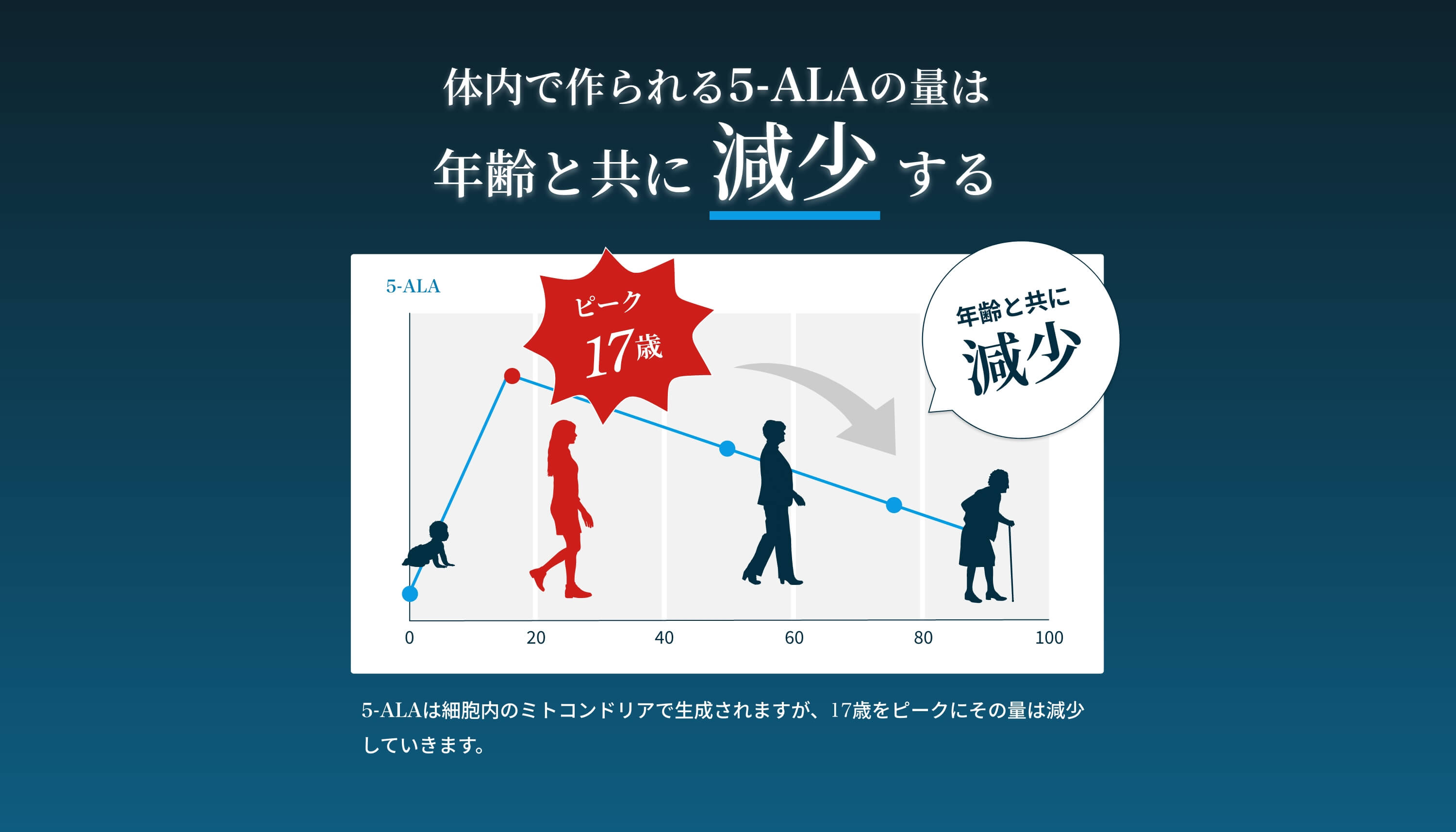 体内で作られる5-ALAの量は年齢と共に減少する